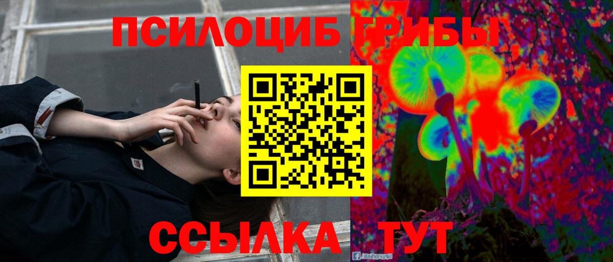 Псилоцибиновые грибы Magic Shrooms  Вход с VPN  Людиново 
